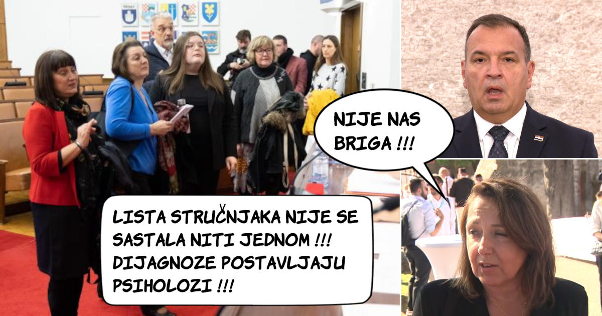Nataša Jokić Begić, Vili Beroš, Irena Hrstić